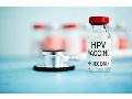 زگیل تناسلی(HPV) چیست؟