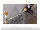 چسب ام اس پلیمر سیکا گرب grab118