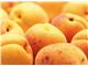 Export of apricot puree to Turkey & Russia