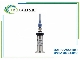 ترانسمیتر فشار Endress+Hauser مدل PMP135-A4G01A1S سری Cerabar T | Pressure Transducer