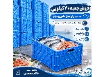 سبد حمل ماهی و میگو