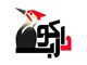 موفقیت خود را در طراحی سایت تضمین کنید