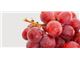 درخت انگور رد گلوب#Red Globe Grape