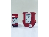ماژول ایمنی PIZZATO مدل CS AT-32V024