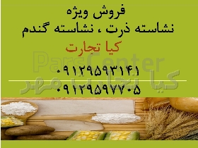 نشاسته ذرت و نشاسته گندم دامی
