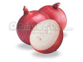 پیازمنجمد (Frozen Onions) آریازر