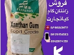 زانتان گام