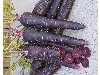 فروش کنسانتره هویج سیاه با رنگ دانه فراوان مناسب برای استفاده به عنوان رنگ طبیعی خوراکی برای صنایع غذایی