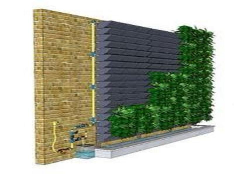 دیوار سبز عمودی-فلاورباکس دیواری-گرین وال