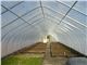 پوشش گلخانه سه لایه 8متری با یووی 3 درصد