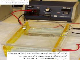 تولید انواع الکتروفورز در شرکت آزمایشگاهی، شیمیایی، بیوتکنولوژی