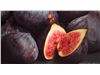 Export of fig juice concentrate to Central Asia