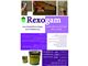 چسب اپوکسی Rexogam