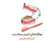 مولاژ دندان دو فک ( آموزش مسواک زدن )