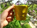 ماگ دفرمه