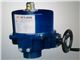 Electric Valves Actuator