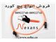 فروش انواع پچ کورد Nexans