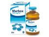 MARBOX (ماربوفلوکساسین)