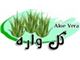 آلوئه ورا
