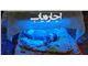 اجاره دستگاه فتوتراپی-دستگاه زردی(اجاره یاب)