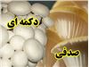 بذر قارچ خوراکی با واریته های گوناگون