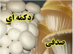 بذر قارچ خوراکی با واریته های گوناگون