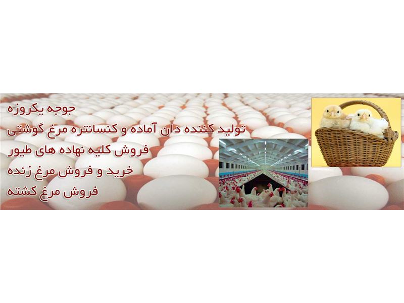 سپهر دانه
