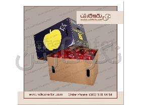 کارتن سیب صادراتی، لیبل سیب