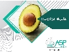 اسانس آووکادو خوراکی طعم دهنده فلفل دلمه طعم و اسانس فلفل قرمز طعم دهنده قارچ خوراکی پودری و مایع