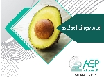 اسانس آووکادو خوراکی طعم دهنده فلفل دلمه طعم و اسانس فلفل قرمز طعم دهنده قارچ خوراکی پودری و مایع
