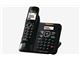 تلفن بی سیم KX-TG3821