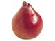 درخت گلابی قرمز طلایی/ درسال 1402 Red Sensation Pear