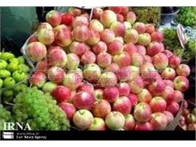 درختان سیب گلاب بهاره،سیب گلاب کهنز،ارقام سیب، Goleabe Khorasan