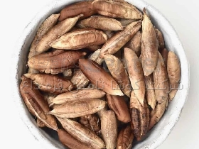 هسته خرما عمده و خرده به صورت بسته بندی و قیمت استثنایی