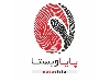 پایا ویستا ویژن