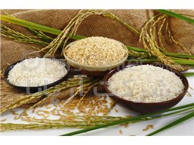 تولید چاپ کیسه برنج