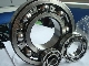 Food industry ball bearing