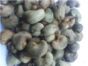 WOOD CHARCOAL , LEAD ORE, CASHEW NUT ALL AGRO PRODUCTS