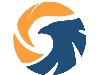 دلیجه ارتباط پویا