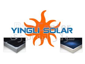 پنل خورشیدی 300 وات yingli