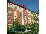 رنگ لاکی (آویژه سبز آرنیکا) 20 سال ضمانت
