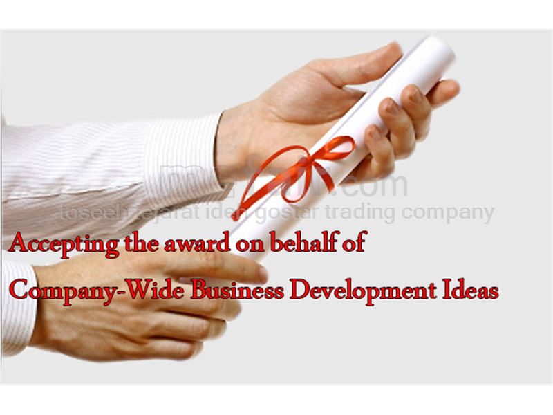 Accepting the award on behalf of Company-Wide Business Development Ideas