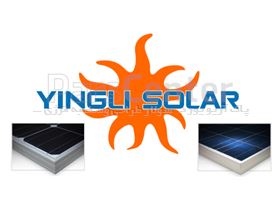 پنل خورشیدی  250وات ینگلی