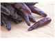 درخت انگور شمشیری_سال 1402 Witch Fingers Grapes