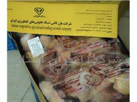 فروش گوشت ران منجمد مرغ کارتنی Amiranstar