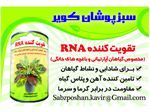 تقویت کننده گیاهان آپارتمانی RNA