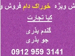 گندم و جو بذری
