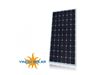 پنل خورشیدی 150 وات ینگلی