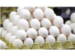 کارتن تخم مرغ در انواع گرماژ از 360تا 550 گرم