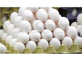 کارتن تخم مرغ در انواع گرماژ از 360تا 550 گرم